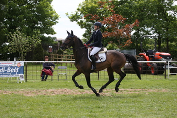 Danielle Farnsworth wins the British Horse Feeds Speedi-Beet HOYS Grade C Qualifier at Nottinghamshire County Show